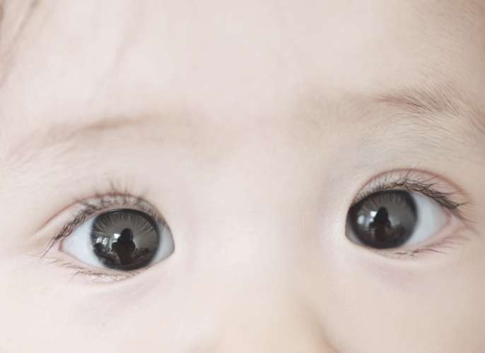 嬰兒 視力