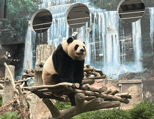 澳門親子旅遊行程