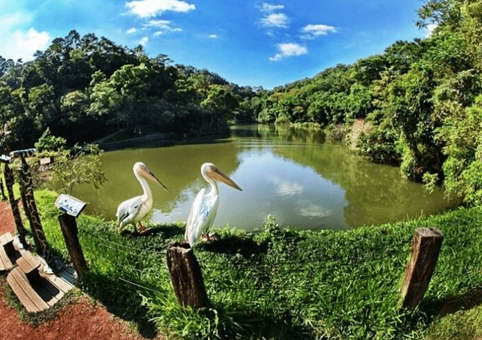 北部親子旅遊景點介紹