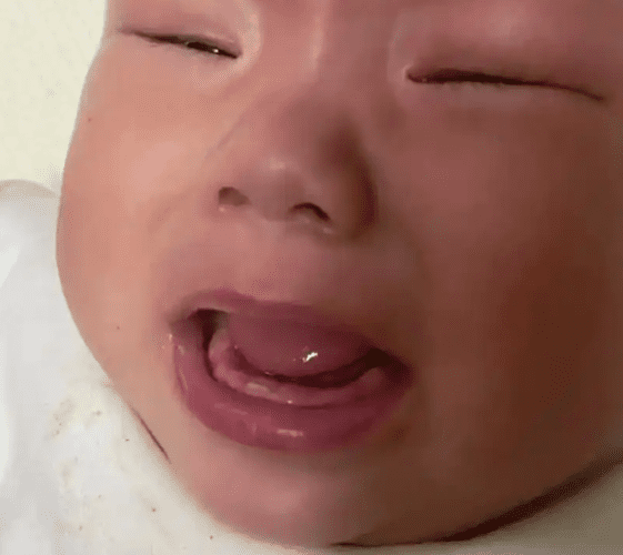 嬰兒長牙順序