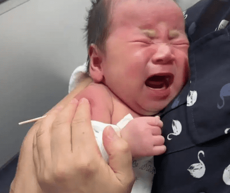 嬰兒疫苗預約 嬰兒疫苗預約